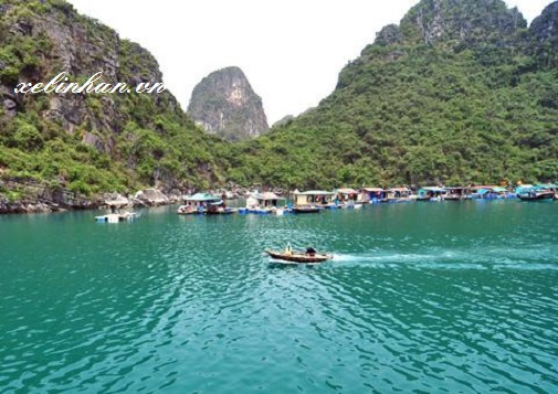 Cho thuê xe đi Trà Cổ Móng Cái từ 4 – 45 chỗ